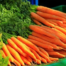 1000+ Tendersweet Carrot Seeds ---------------  NON GMO - HEIRLOOM ---- FRESH