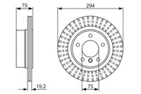 2X Bremsscheibe Hinten Bosch 0 986 479 670 FÜR BMW Bremsscheiben Scheibenbremse
