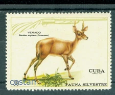 1970 White-tailed deer/Odocoileus virginianus,Hunting animals,Caribbean,1635,MNH