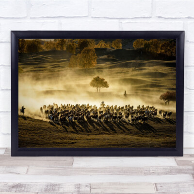 Horses Dust Running Tree Shadows Wall Art Print