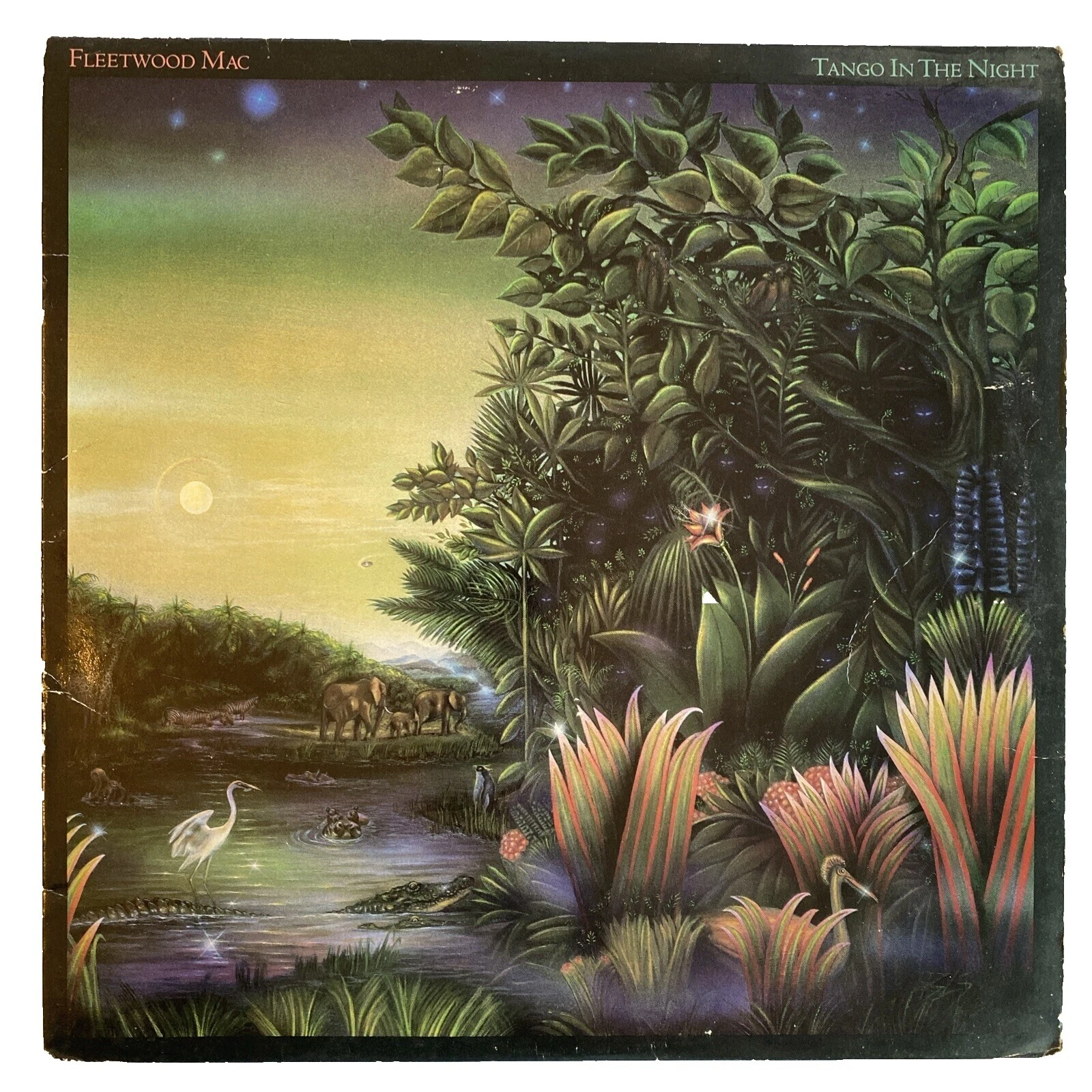 Fleetwood Mac Latin 33 RPM Speed Vinyl Records