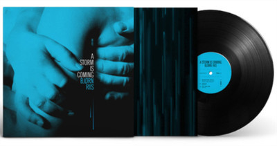 Bjorn Riis A Storm Is Coming (Vinyl) 12'' Album