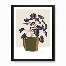 Pilea Peperomioides Kunstdruck gerahmt Wandbild Poster Leinwanddruck Bild