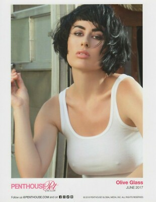 OLIVE GLASS Rare PENTHOUSE Magazine 2017 8"x10" promo photo! AVN | eBay