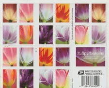 USPS sheet of 20 Tulip Blossoms 1 ounce rate stamps sent from OKC, OK