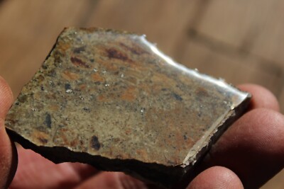 MINERAL   NATIVE SILVER Very Rare Locality New Mexico 61 gram Specimen  #3