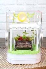 Jumping Spider Enclosure, Insect Terrarium, Bug Enclosure, Spider Cage, Jumping