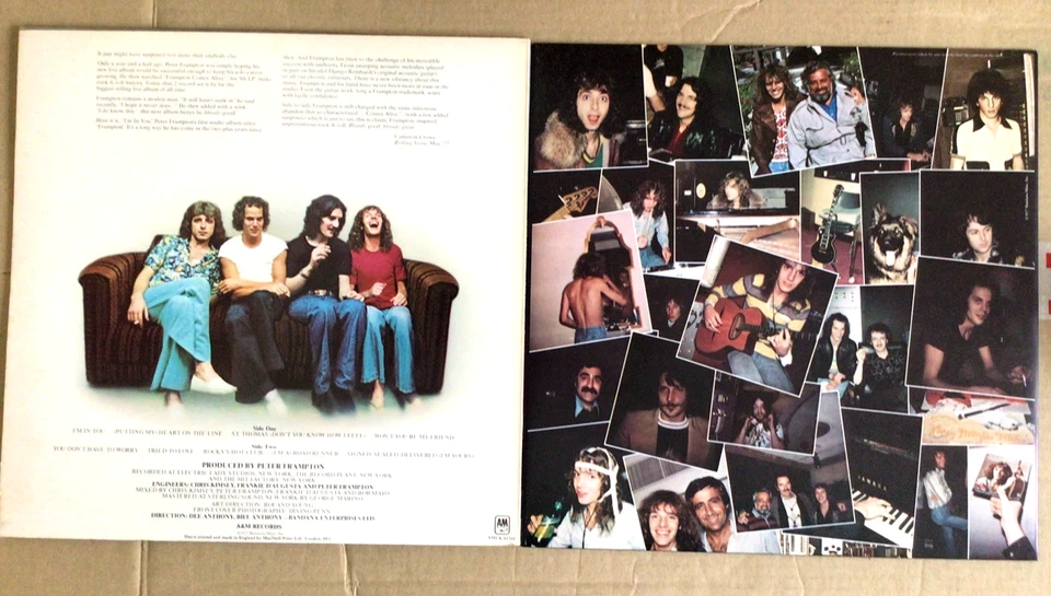 Peter Frampton, I'm In You - Vinyl LP Record SP-4704  NEAR MINT CONDITION - Image 2 of 4