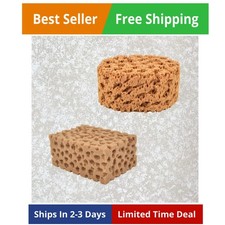 Large Sea Sponges for Artists Unbleached 2pc Value Pack Art Texturing Decorat...