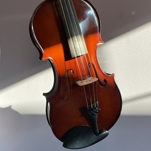 Viola With A Protec Max Case