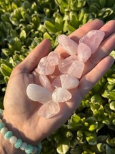 1/2 Pound Rose Quartz Tumble Stone Bulk Wholesale Lot of Crystals 20-30mm