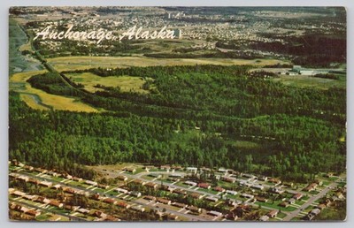 Alaska  Air View Turn Again By The Sea Foreground Vintage UNP Postcard e8