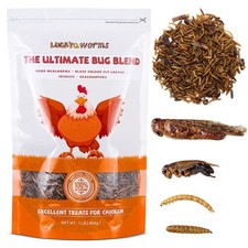 1 Lbs Dried Insect Trail Mix High Protein Natural Treat for Chickens Reptiles