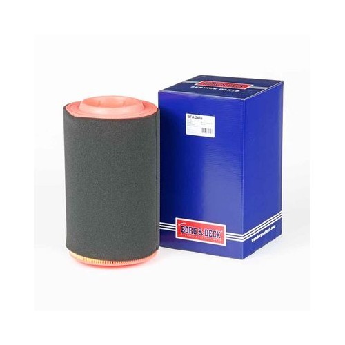 BORG & BECK Air Filter BFA2466
