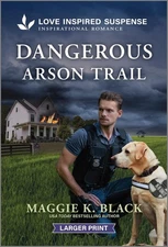 Dangerous Arson Trail (Unsolved Case Files, 3)