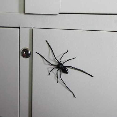 Spider Fridge Magnet, Realistic.Cute for Refrigerator, Garage Door or Car H OT - Picture 8 of 14