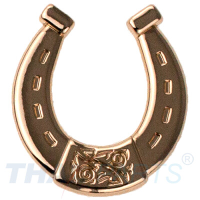 Concho #166 27mm Western Reitsport Cowboy Hufeisen Conchos Gold