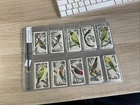 Barratt & Co. Cards Full Set of 25 Cage & Aviary Birds from 1960 In Sleeves.