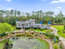 Magical  10 acre Disney Castle-Style Property Real Estate for Sale
