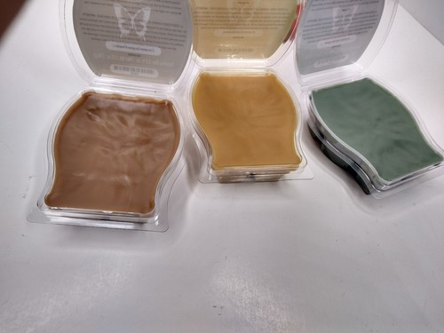 Scentsy Bars Wax Warmer Christmas Scent Gift Box Set Brown Sugar Evergreen - Picture 11 of 13