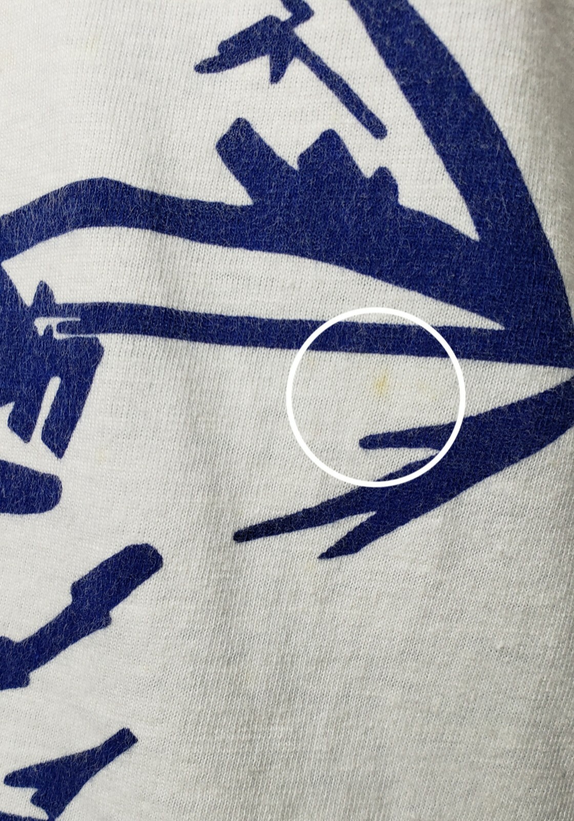 Picture 8 of 12
