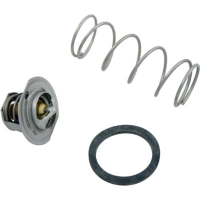 Raypak 062234B Unitherm Regler