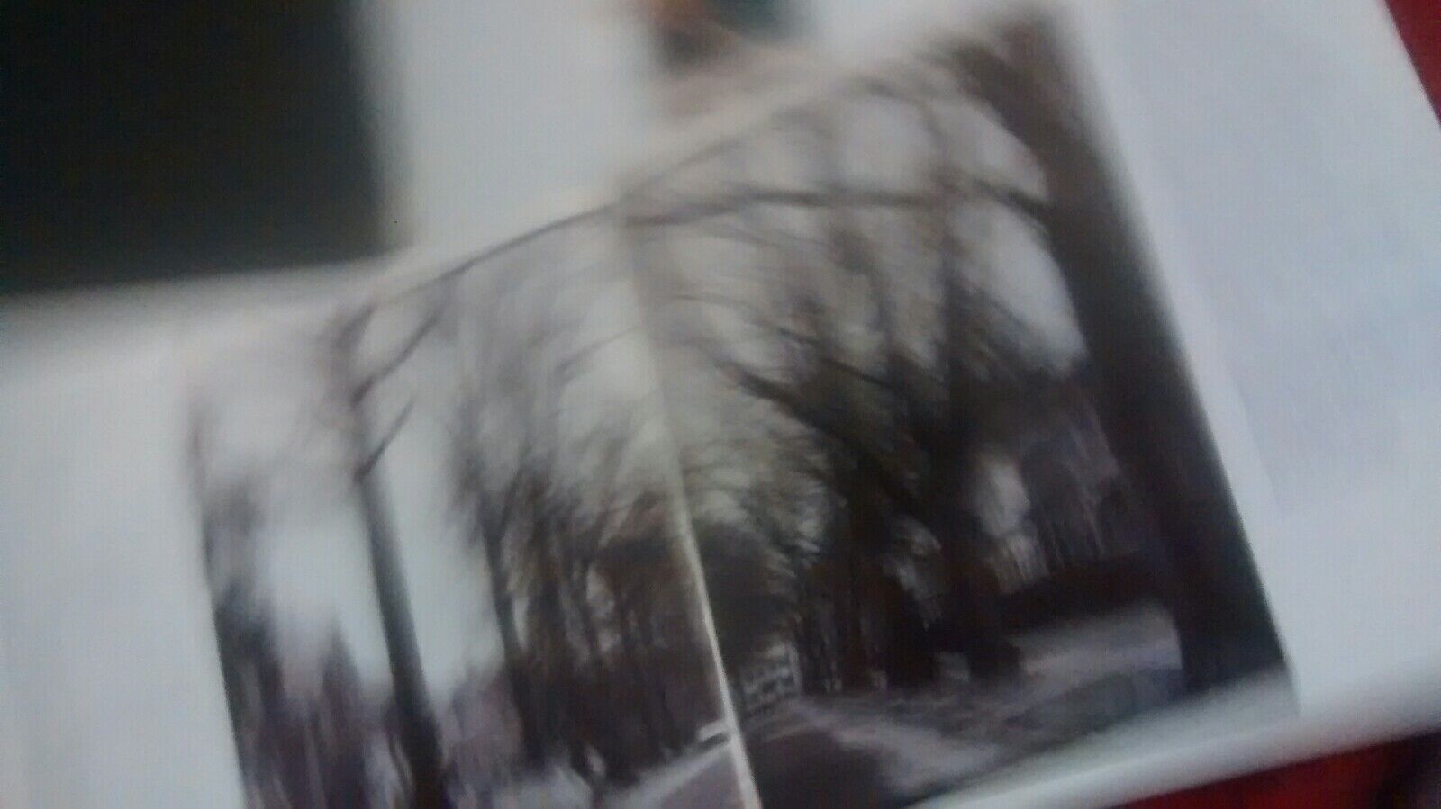 Picture 4 of 4