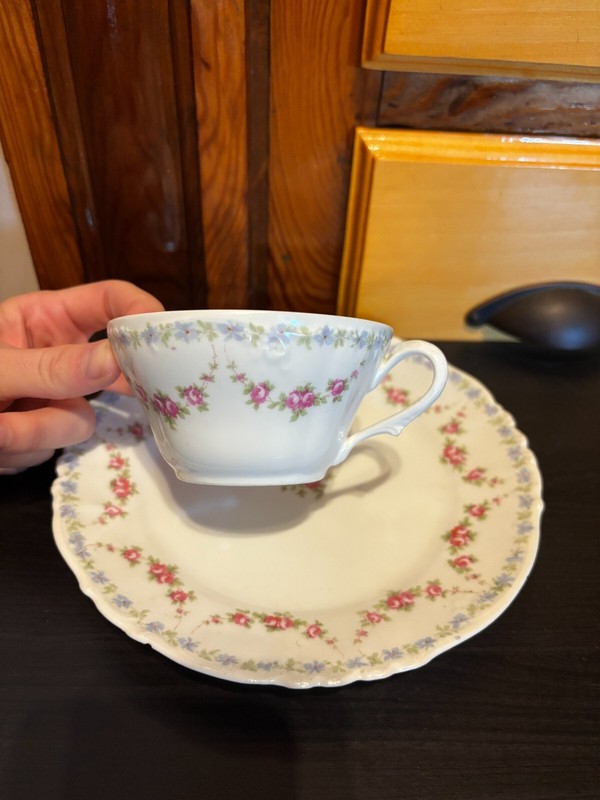 Habsburg China Austria Teacup and Scalloped Rim 7.5" Salad Plate