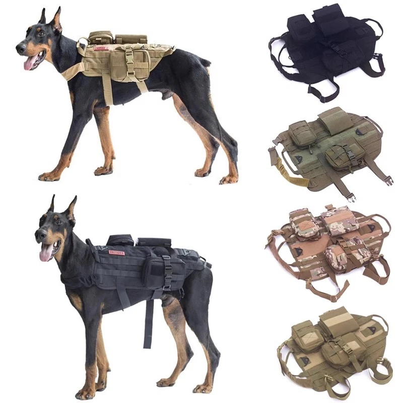 Tactical hot sale dog equipment