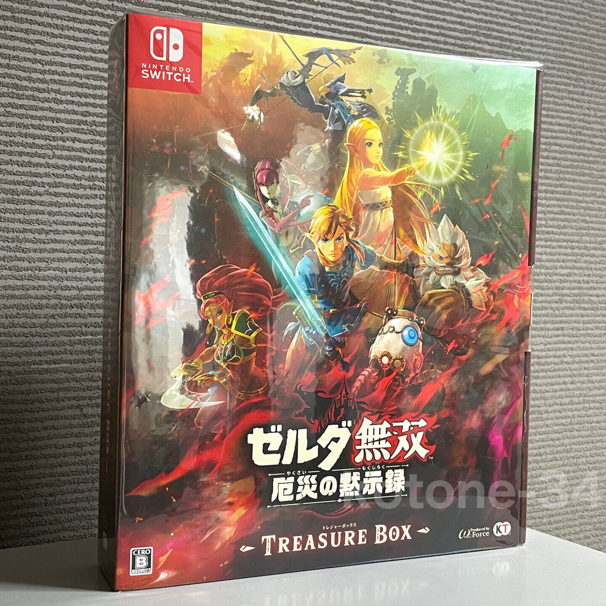 Hyrule Warriors: Age of Calamity TREASURE BOX Limited Zelda