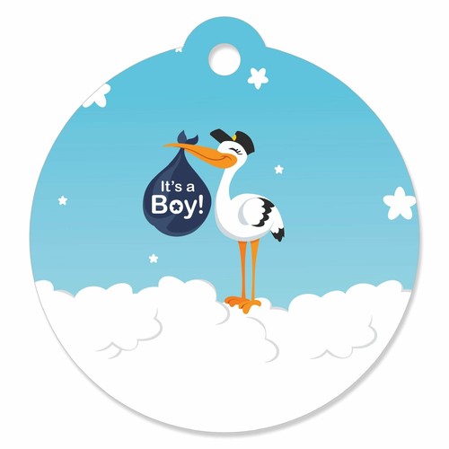 Boy Special Delivery - Blue It's A Boy Stork Baby Shower Favor Gift Tags 20 Ct 843394107951 | eBay Boy Special Delivery - Blue It's A Boy Stork Baby Shower Favor Gift Tags 20 Ct 843394107951 | eBay