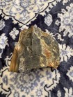 Petrified Wood Lot 3.5lbs — photo 5