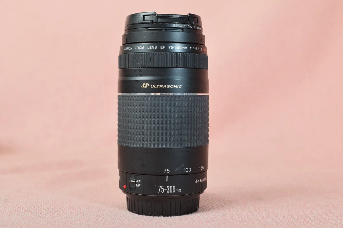 Canon EF 75-300mm Focal Camera Lenses for sale | eBay