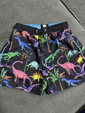 Matalan Boys Children’s Dinosaur Swimwear Shorts 6-7 Years