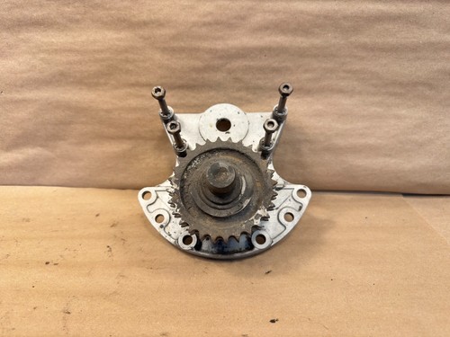 Jaguar XKE E-Type S1 S2 4.2 Timing Chain Assembly OEM PN C4129 - 第 1/5 張圖片
