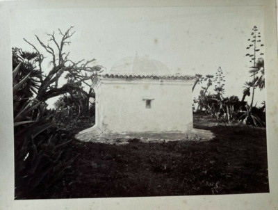 Vintage Photographs Old  Albumen, Algeria Mosque Architecture c.1870