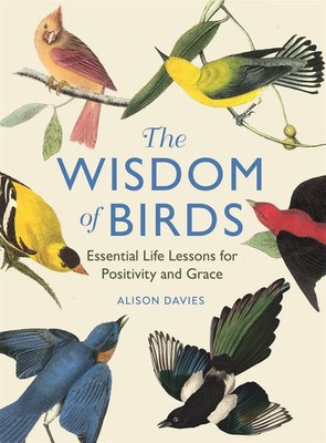 The Wisdom of Birds | Essential Life Lessons for Positivity and Grace | Davies