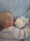 Bild 2 von 24