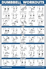 Palace Learning Dumbbell Workout Exercise Poster - Free Weight Body Building