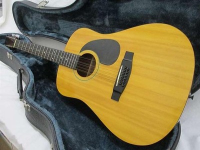 SIGMA GUITAR Junk 12-String Acoustic Guitar DM12-1