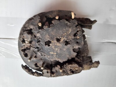 Relic from the Battle of Verdun