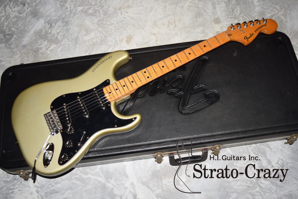 Fender 79 25th Anniversary Stratocaster Silver/Maple neck