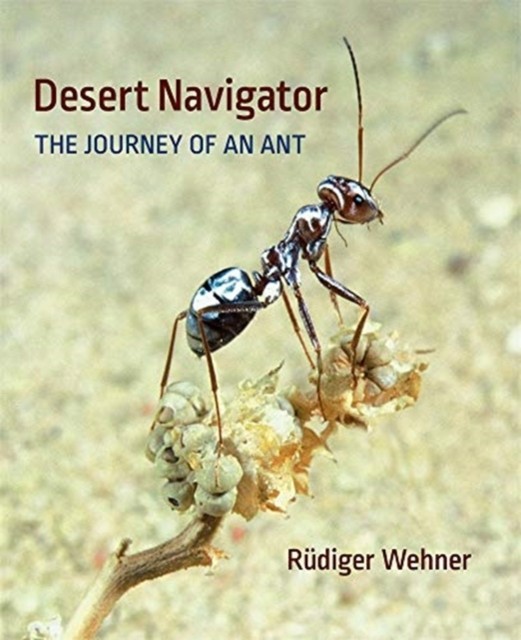 Desert Navigator The Journey of an Ant by Rudiger Wehner (Hardback Book)