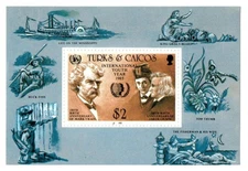 Turks and Caicos 1985 - Int Youth Year - Souvenir Stamp Sheet - Scott #675 - MNH