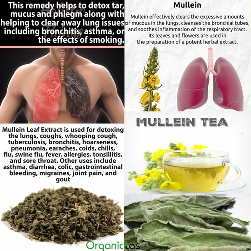 Té de hierbas de hojas y flores cortadas (Verbascum Thapsus) grado A 100 g - Imagen 6 de 12