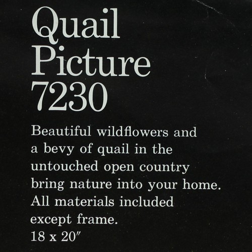 QUAIL PICTURE Vintage Crewel Embroidery Kit Erica Wilson Cottage Core Boho Color - Picture 3 of 9