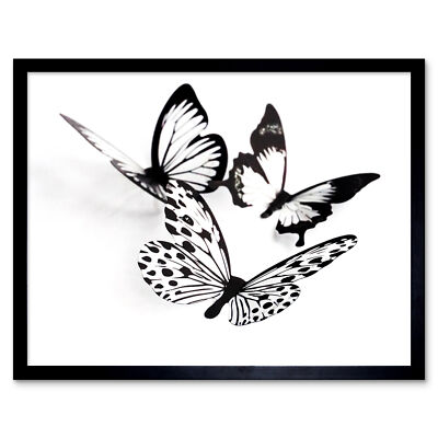 Drei schwarz weiße Schmetterlinge Gruppe Collage Foto Wandkunstdruck gerahmt 12x16