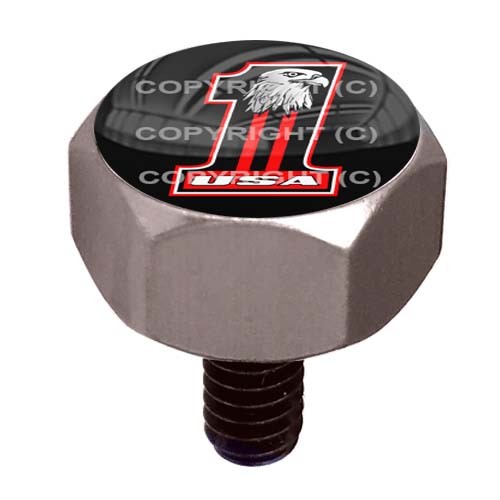 小物 aa Grey Billet Aluminum Hex Bolt for Harley Air Cleaner Cover