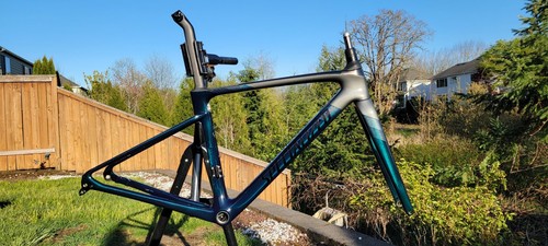 2020 Specialized Roubaix Pro Frame 