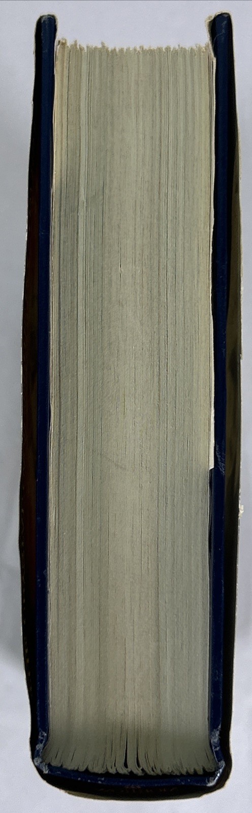 Picture 11 of 24